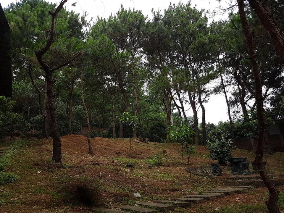 Bachlien Pine Forest Villa Hanoi Esterno foto