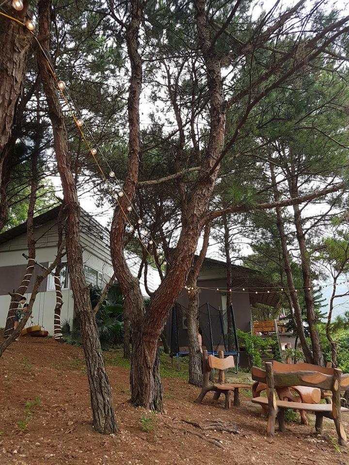 Bachlien Pine Forest Villa Hanoi Esterno foto